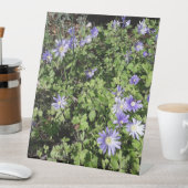 Viele Blume Sockelschild (In Situ)