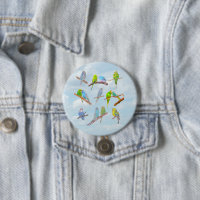 Viele bunte Parakets - niedliche kleine Vögel