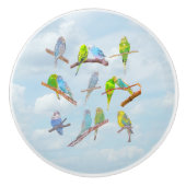 Viele bunte Parakets - niedliche kleine Vögel Keramikknauf (Vorderseite)