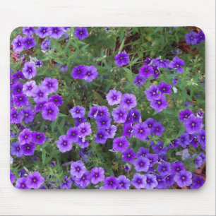 Viele dunkle lila phioische Blume Mousepad