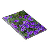 Viele dunkle lila phioische Blume Notizblock (Rechte Seite)