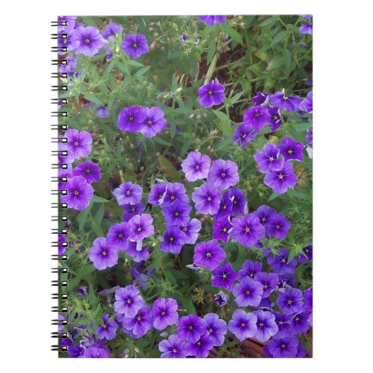 Viele dunkle lila phioische Blume Notizblock (Vorderseite)