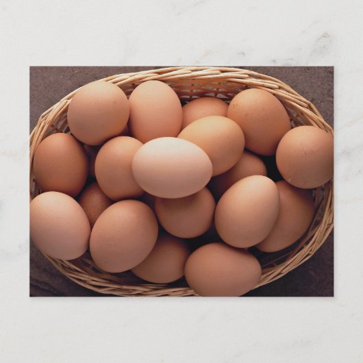 Viele Eier im Korb Postkarte (Vorderseite)