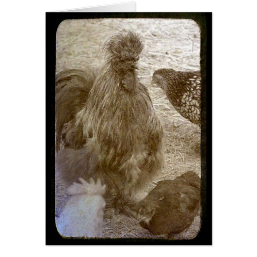 Viele Farben schließen (Vorne)