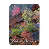 Viele Farben von Sedona Magnet (Vertikal)