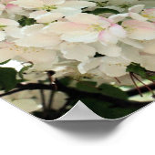 Viele Frühlingskräuter blühen Blume Poster (Ecke)