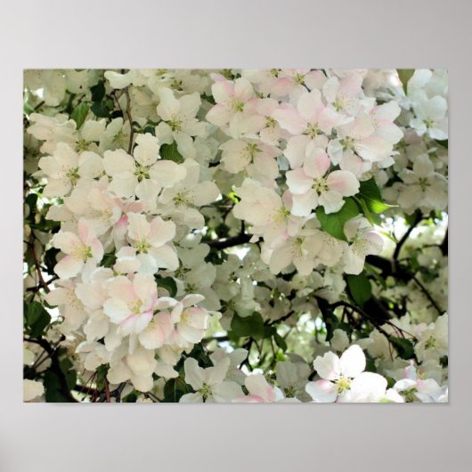 Viele Frühlingskräuter blühen Blume Poster (Vorne)