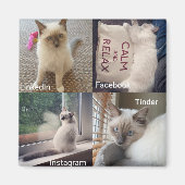 Viele Gesichter einer Ragdoll Katze Magnet (Vorne)