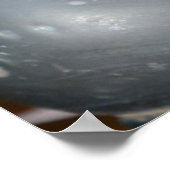 Viele Glasfischerei schwimmt, Alaska Poster (Ecke)