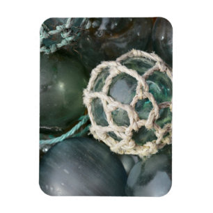 Viele Glasfischschwimmer, Alaska Magnet