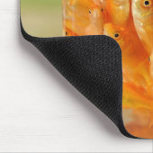 Viele Goldfische, die sich im Glasbehälter befinde Mousepad (Ecke)
