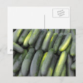 Viele Gurken zum Verkauf Postkarte (Vorne/Hinten)