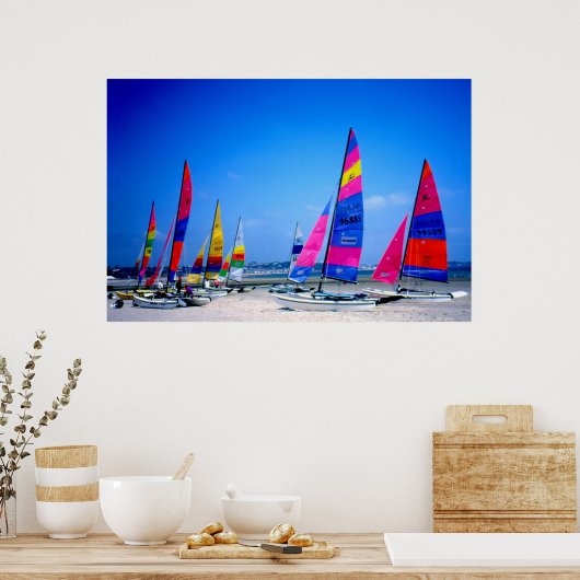 Viele Hobie Segelboote in Jersey Poster (Küche)