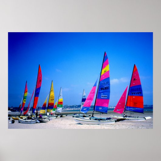 Viele Hobie Segelboote in Jersey Poster (Vorne)