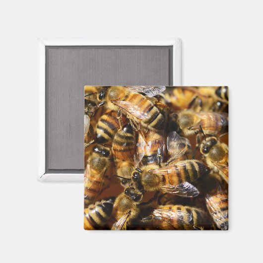 Viele Honigbienen Magnet (Vorderseite/Rückseite)