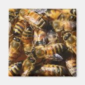 Viele Honigbienen Magnet (Vorne)