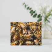 Viele Honigbienen Postkarte (Stehend Vorderseite)