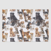 Viele Hunde und Katzen Seidenpapier (Vorderseite)