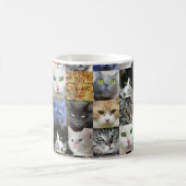 Viele Kätzchen Cat Lovers Kaffee Tasse (Mittel)