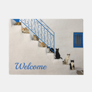 Viele Katzen auf einer weißen Treppe in einem gri Fußmatte