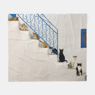 Viele Katzen auf einer weißen Treppe in einem grie Fleecedecke