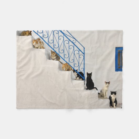 Viele Katzen auf einer weißen Treppe in einem grie Fleecedecke (Vorderseite (Horizontal))