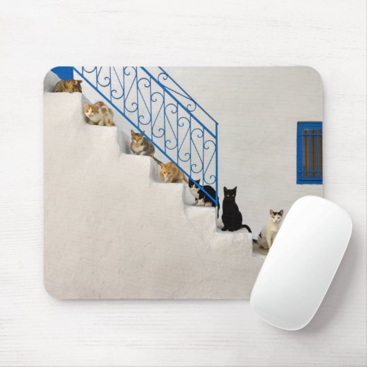 Viele Katzen auf einer weißen Treppe in einem grie Mousepad (Mit Mouse)