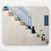 Viele Katzen auf einer weißen Treppe in einem grie Mousepad (Vorne)