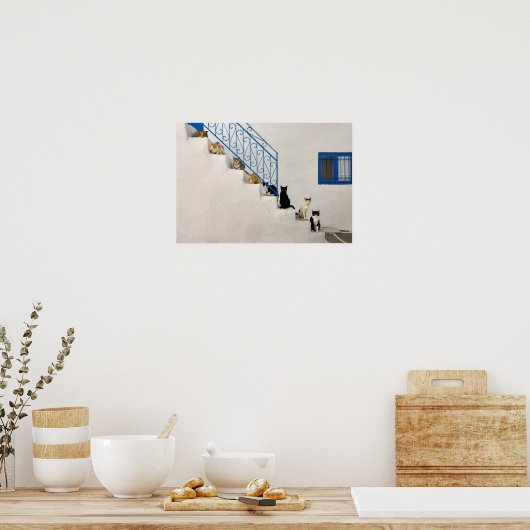 Viele Katzen auf einer weißen Treppe in einem grie Poster (Küche)