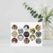 Viele Katzen-Karten Postkarte (Stehend Vorderseite)