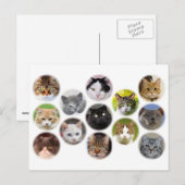 Viele Katzen-Karten Postkarte (Vorne/Hinten)