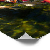 Viele Koi Karpfen auf der Wasseroberfläche Urlaub Poster (Ecke)