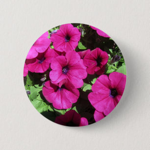 Viele Lila Petunias Button