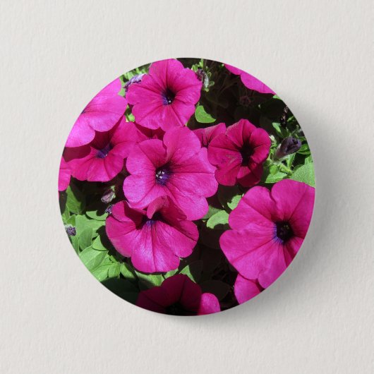Viele Lila Petunias Button (Vorderseite)