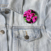 Viele Lila Petunias Button (Beispiel)