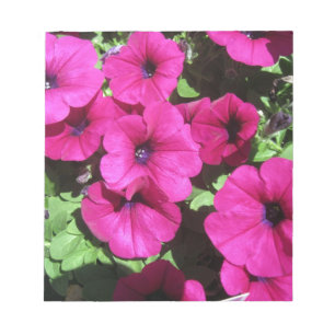 Viele Lila Petunias Notizblock