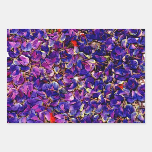 Viele Lupine-Petale Geschenkpapier Set (Vorderseite 3)