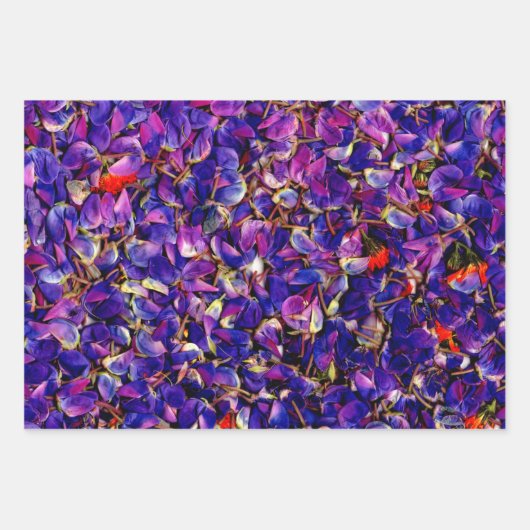 Viele Lupine-Petale Geschenkpapier Set (Vorderseite)
