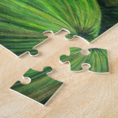 Viele Männer, viele Melonen, Budapest Puzzle (Seite)