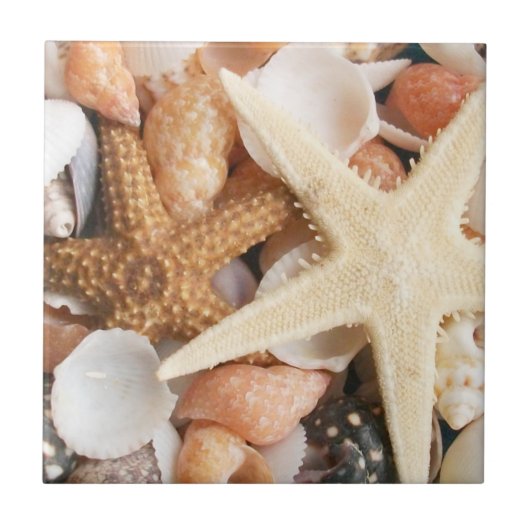 Viele Muscheln Fliese (Vorderseite)