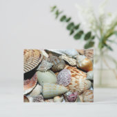 Viele Muscheln Postkarte (Stehend Vorderseite)