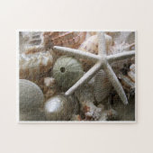 Viele Muscheln Puzzle (Horizontal)