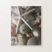 Viele Muscheln Puzzle (Vertikal)