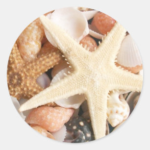 Viele Muscheln Runder Aufkleber
