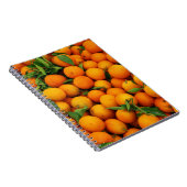 Viele Orangen Notizblock (Rechte Seite)