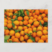 Viele Orangen Postkarte (Vorderseite)