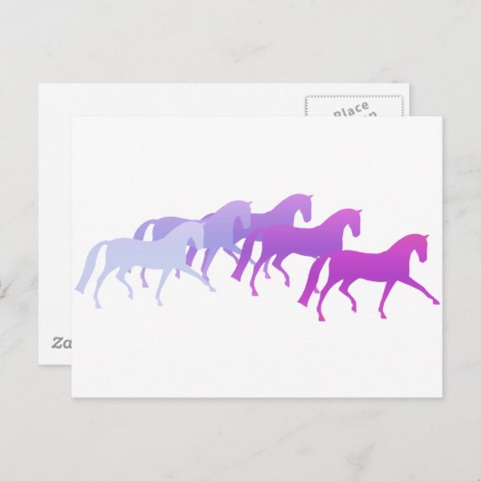 Viele Pferde (Pfeffer) Postkarte (Vorne/Hinten)