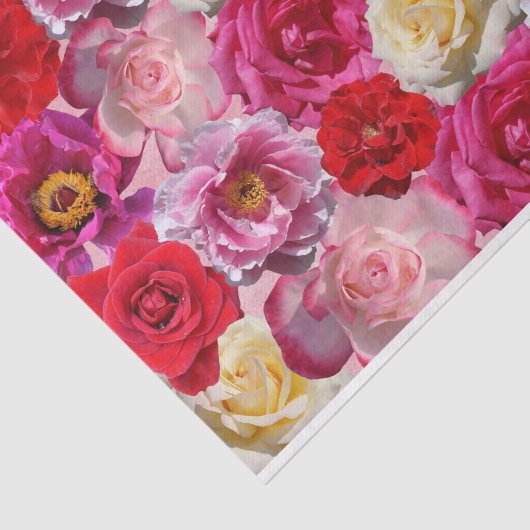 viele Rose Seidenpapier (Ausschnitt)