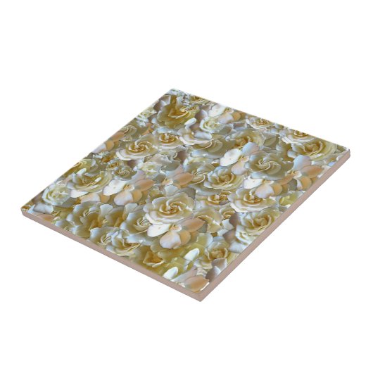 Viele schöne Blätter der Rose Fliese (Seite)