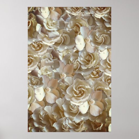 Viele schöne Blätter der Rose Poster (Vorne)